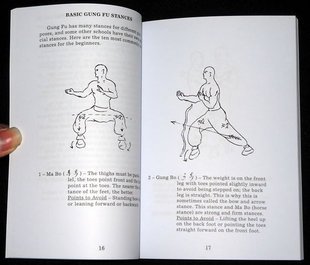 IP-man-Bruce-Lee-the-original-Basic-Chinese-boxing-in-English-kung-fu-training-free-shipping